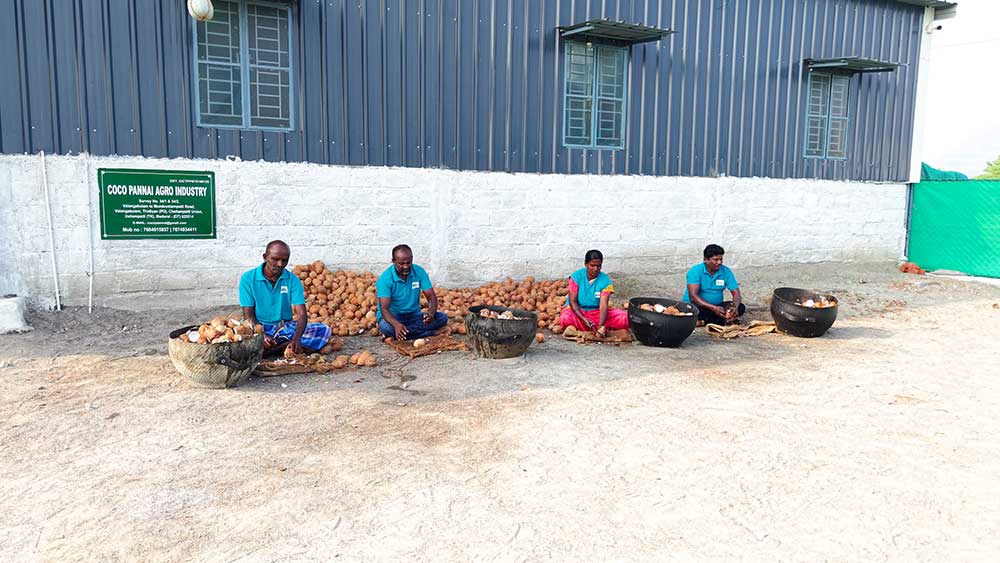 Sun Dried Coconut Process